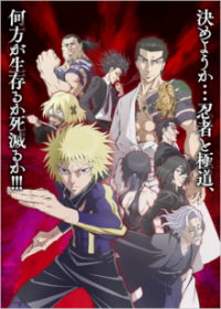 Cover Ninja Vs. Gokudo, TV-Serie, Poster
