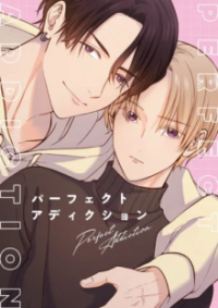 Cover Perfect Addiction, Poster