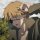 Profilbild chxso, Avatar