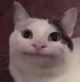 Furiks Avatar, Furiks Profilbild