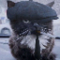 Fischis Avatar, Fischis Profilbild