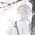 OffxRinkusu Avatar, OffxRinkusu Profilbild