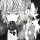 Profilbild xanity, Avatar