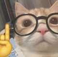 Raccoon_xx Avatar, Raccoon_xx Profilbild