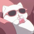 User Ikito, Profilbild